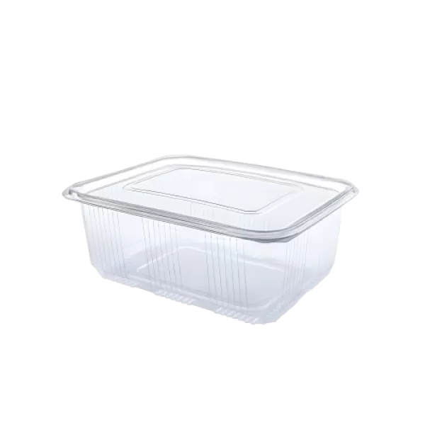 Container cu capac plat, 2000 ml