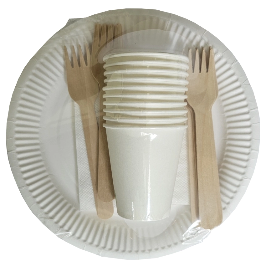 Eco set picnic: farfurii, pahare, furculite si servetele (10 buc.)
